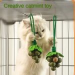 Creative New Catnip Toys, Peppermint Grape Skewers, Cat Sticks, Teething And Bite Resistant Gall Fruit Cat Toys - Image 2