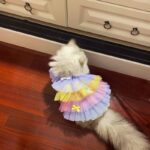Pet Cat Clothes Dog Lace Mesh Dress - Image 4