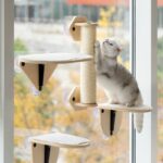 Meow Hu Wang Is Also Cat Scratch Trees Not Covering An Area Of Glass Wall - Image 2