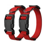 Big And Small Cat Dog Collar - Image 4