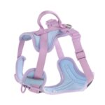 Dog Breast Strap Hand Holding Rope Dog Leash Collar Chest Back - Image 5