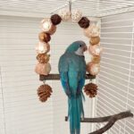 Wooden Parrot Swing Natural Log Bird Stand Pole Perched Wooden Mountain Parrot Toys - Image 2