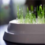 Household Simple Oblique Mouth Cat Drinking Bowl - Image 4