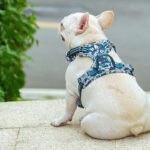 The New Dog Leash Vest Type Walking Chain - Image 7