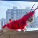 Halloween Cat Lobster Clothes New Year Christmas - Image 3