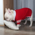 Christmas Pet Dog Clothes Autumn And Winter Sweater TeddyFrench Bulldog British Bucket Corgi Cat Sweater - Image 3