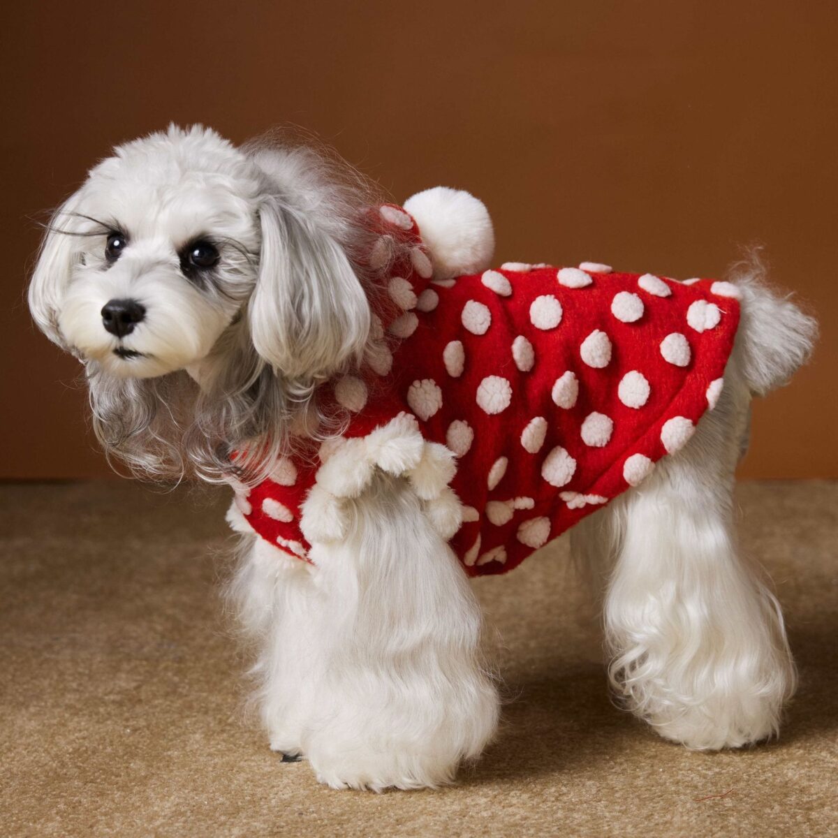 Red New Year Dress Polka Dot Sleeveless Hooded Vest Coat - Image 1
