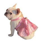 Mesh Dress Skirt Dogs And Cats Bow Pearl - Image 3