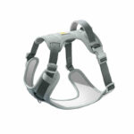 Dog Breast Strap Outing Vest Pet Hand Holding Rope - Image 2