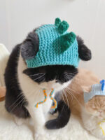 Pet Knitted Hat Little Dinosaur Short Cat - Image 6