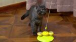 Cat Stick Cat Toy Ball - Image 2