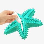 Dog Toys For Large Dogs Tooth Cleaning Chew Funny Interactive Training Starfish Toy Accessories Squeaky Toys TPR Toys - Image 2