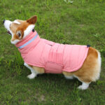 Pet Coat Cold-Proof Warm Rain-Proof Clothe Big Dog Clothing Corgi Clothes Dog Trench - Image 6