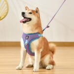 Pet Dog Harness Puppy Adjustable Breathable Mesh Reflective Saddle For Small Medium Dogs Cats Pet Supplies - Image 2