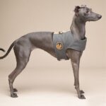 Dog Harness Small Dog Vest Type Leash - Image 5