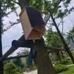 Wooden Bat Nest Hanging Outdoor Garden Eaves Bat Habitat - Image 4