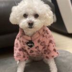 Puppy Clothes Thermal Extra Thick With Fleece Sweater - Image 5