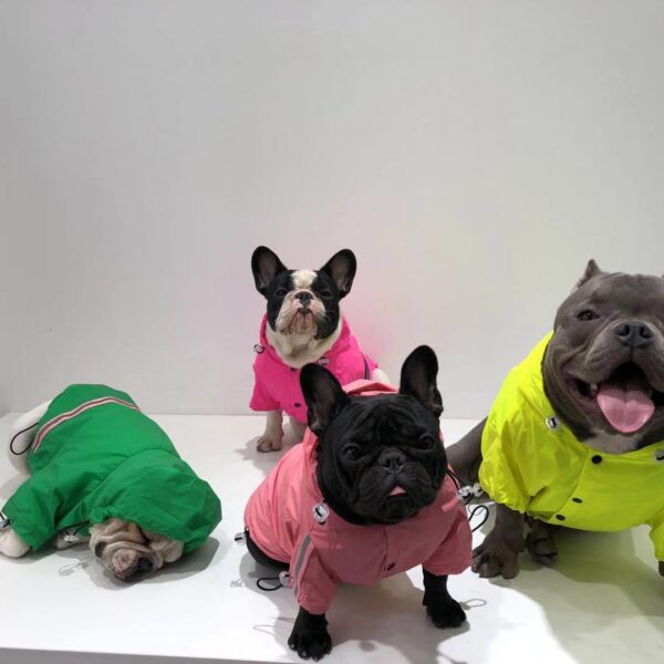 Pet reflective waterproof raincoat