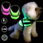 Large and small dogs, cats, luminous clothes, collars, luminous vests - Image 2
