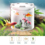 Ecological acrylic fish tank - Image 4