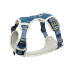 The Dog's Chest Strap Goes Out And Walks Leash - Image 3