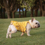 Pet Clothes Dress Cotton Cartoon Print Spring - Image 3