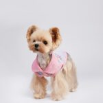 Small Dog Pet Cat Autumn Vest - Image 4