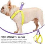 Dog Harness And Leash No Pull Nylon Pet Leashes For Small Dogs French Bulldog Chihuahua Lead Leash And Collar Set For Yorkies - Image 5