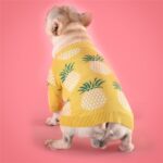 Pineapple sweater - Image 4