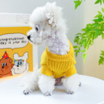 Pet Ring Dog Clothes Warm, Comfortable And Cute - Image 5