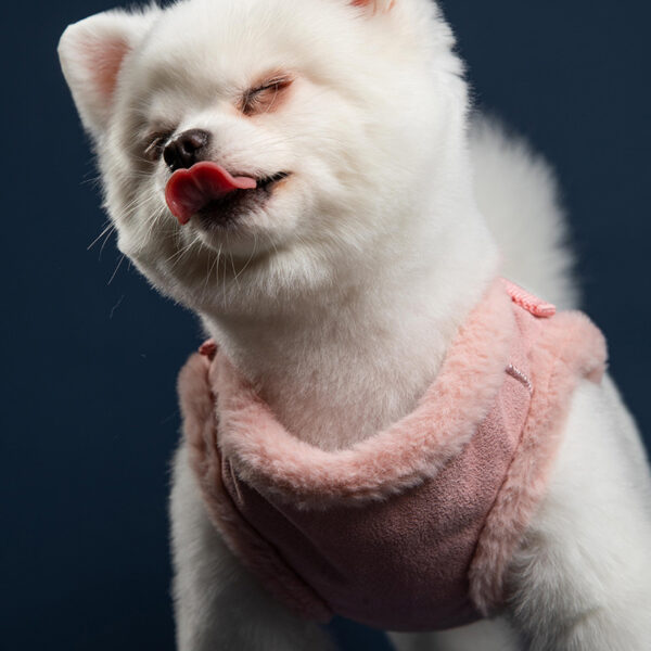 Cute rabbit fleece adjustable dog leash for small and medium-sized dogs