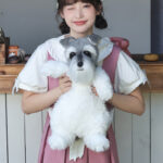 Schnauzer Artificial Dog Backpack Cartoon Puppy Doll - Image 2