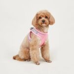 Dog Hand Holding Rope Vest Small Dog Dog Leash Teddy Bichon Breathable Chest Strap Pomeranian Puppy Small Dog Leash - Image 10