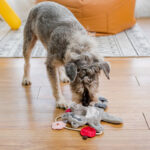 Dog Plush Self Relieving Teddy Bear Toy Grinding Teeth Interactive Solitude Hiding Food Toy Small Dogs Supplies Accessories - Image 4