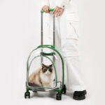 Fashion Creative Pet Trolley Bag Panoramic Transparent Dog Luggage - Image 3