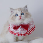 Cute Cat Dog Scarf Photo Jewelry - Image 2