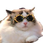 Pet Dog Cat Multi-color Sunglasses Cool Handsome Accessories - Image 3