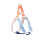 Colorful Outdoor Chest And Back Hand Holding Rope Outing Dog Leash Pet Supplies - Image 2