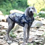 Winter Warm Camouflage Big Dog Shell Jacket Waterproof Reflective Cotton-padded Coat - Image 2
