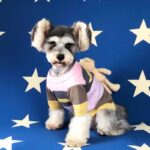 Dog Clothes Autumn And Winter Sweater - Image 2