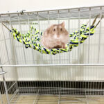 Parrot climbing net - Image 4