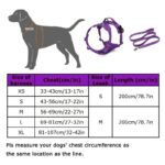 Dog Breast Strap Dog Traction - Image 3