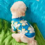 Dog Clothes Warm In Winter Teddy Bear Bomekoki Cat Two Legged Pet Sweater - Image 5