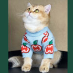 Dog Clothes Autumn And Winter Thick Knit Sweater - Image 4