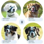 Pet Dog Mouth Cover More Sizes Muzzles Seam Dog Mouth Cover Breathable Anti-bark - Image 4