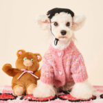 Autumn And Winter Female Dog Colorized Sweater Pet Cardigan - Image 3