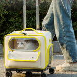 Cat Bag Going Out Pet Trolley Bag Good-looking Anti-stress Cat Backpack - Image 4
