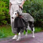 Adjustable Dog Raincoat All-inclusive Medium Large Dog Adhesive Four-leg Hooded Poncho - Image 2