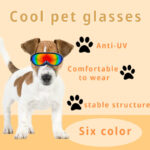 Cat Windproof Glasses Outdoor Pet Cool Sunglasses - Image 5