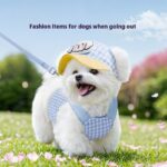 Pet Dog Cat Hat Outdoor Sunshade Anti-strangulation Hand Holding Rope Chest Strap